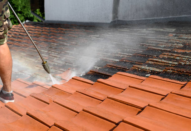 Best Exterior Home Cleaning  in Sebastopol, CA